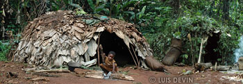 Pygmy huts and fire