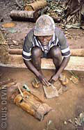 Preparation of the poison for the crossbow used by the Baka Pygmies