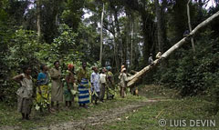 Polyphonic songs of the Baka Pygmies for a propitiatory rite