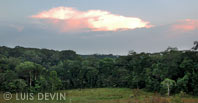 Sunset over the Gabonese rain forest
