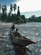 A big pirogue (Bakola-Bagyeli Pygmies, Cameroon)
