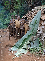 Leaf hut (Baka Pygmies, Cameroon)