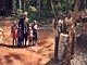 A small village (Baka Pygmies, Cameroon)