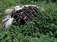Abandoned hut (Baka Pygmies, Cameroon)